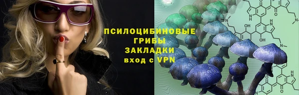 СК Алексеевка