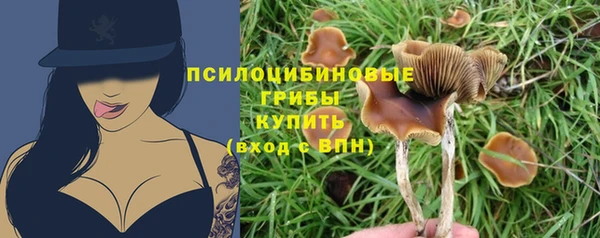 дживик Абинск