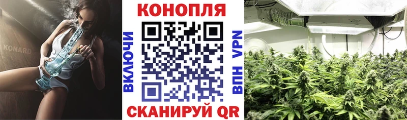 Шишки марихуана VHQ Благодарный